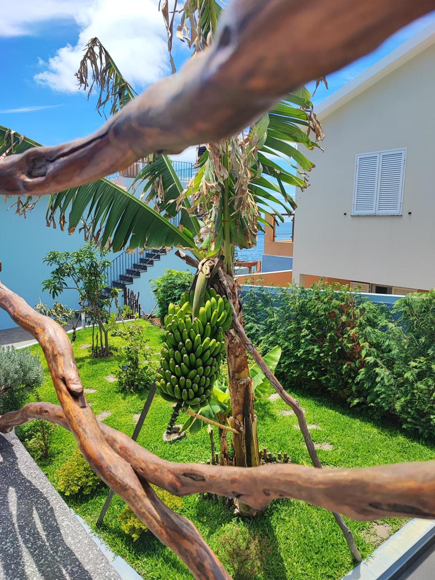 Cottage Pearl - Rural Holiday Experience By Seapearl Paul do Mar  Dış mekan fotoğraf